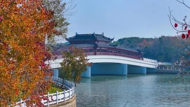 3801213fb80e7becb0d213790a87e8359a506b50.jpeg@f_auto_副本.jpg